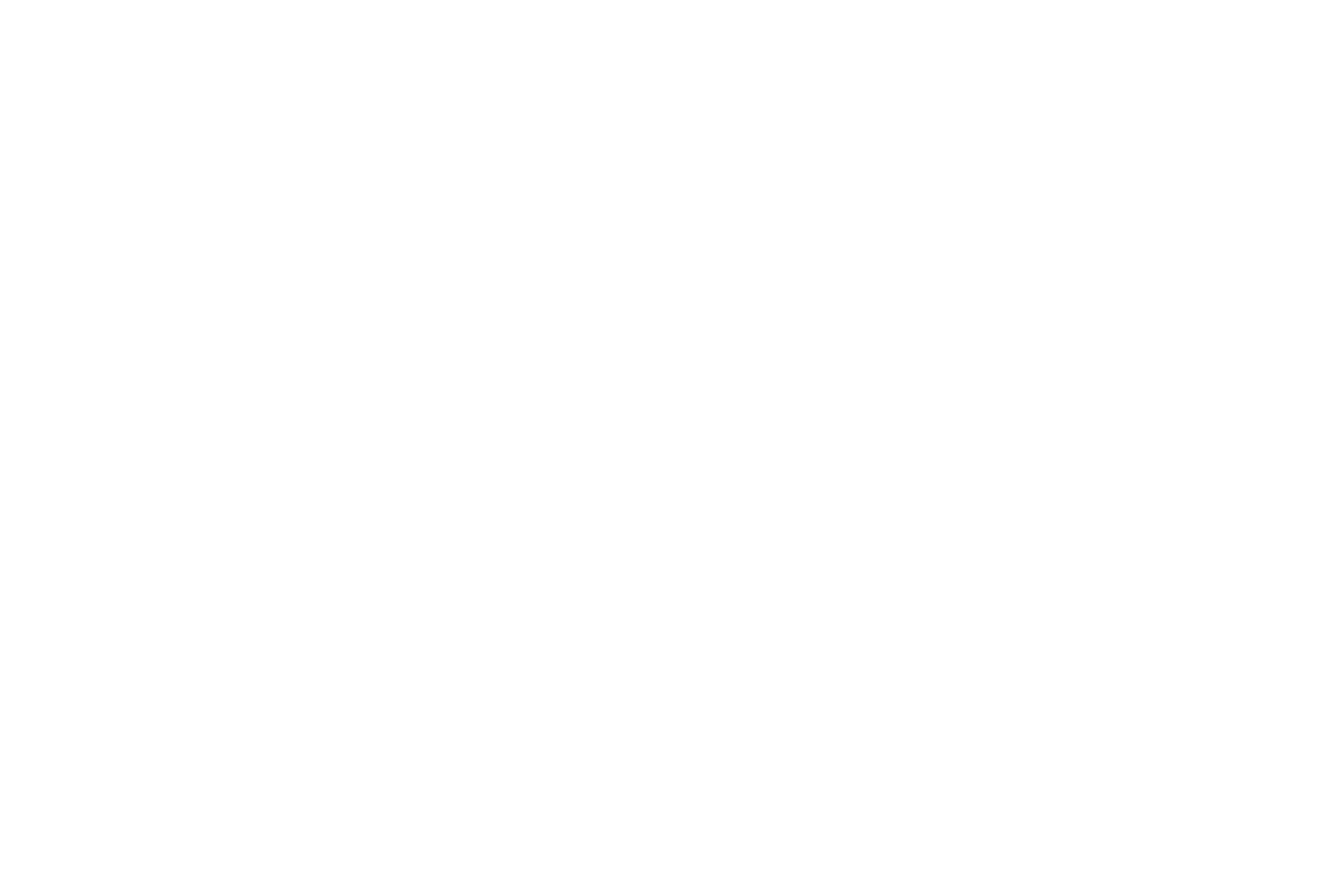 Printvana_CustomerLogo_white_Finapayments